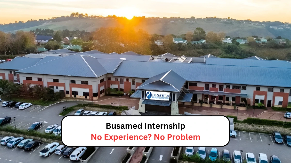 Busamed Internship No Experience No Problem