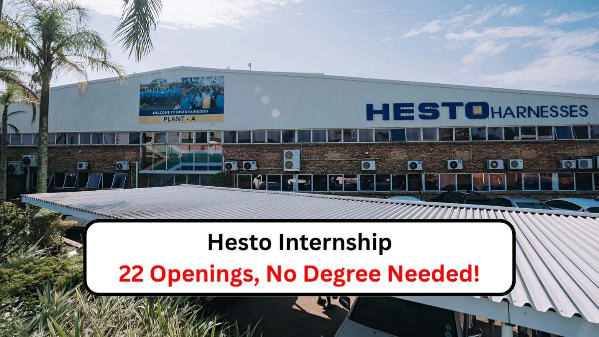 Hesto Internship 22 Openings, No Degree Needed!