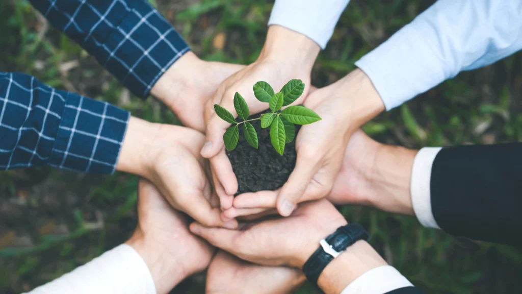 Environmental Intern 2025 Application Open